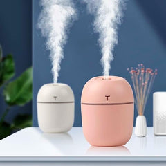 Colorful Egg Humidifier