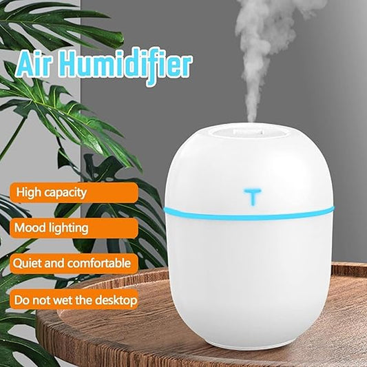 Colorful Egg Humidifier