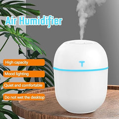Colorful Egg Humidifier